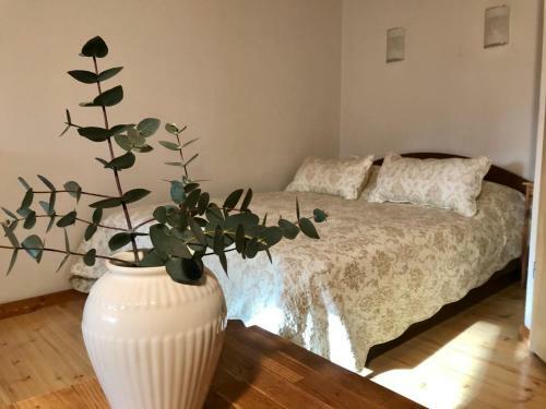 Apartamento O?upyn?