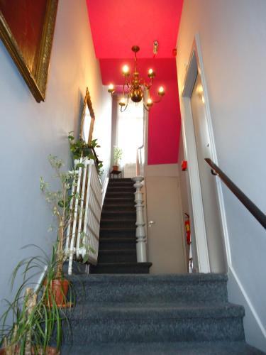 Hostal Hotel Belvedere