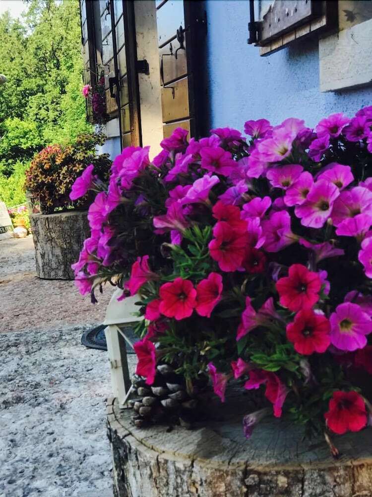 Bed & Breakfast Ongar Relax