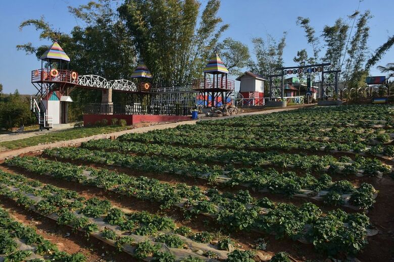 Hotel Mico Hill Resort