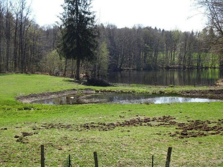 Au Plateau Des Milles �tangs