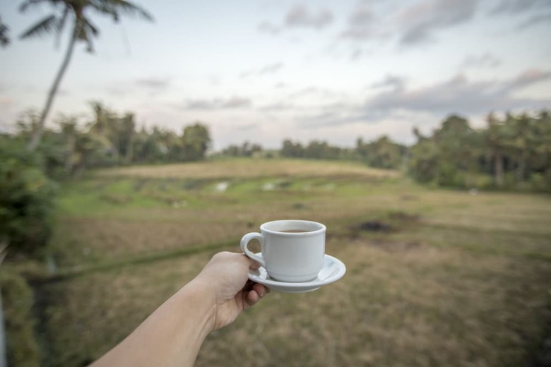 Askara Villa Rice Field View