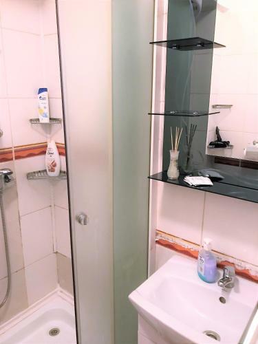 Apartamento Bucharest Central Studio