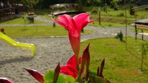 Agroturismo Pensiunea Casa Luanna