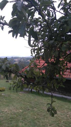 Lodge Gostilje