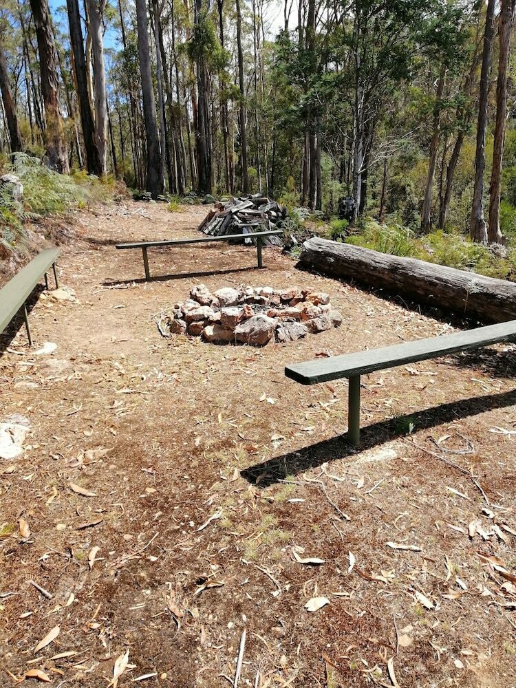 Minnow Cabins