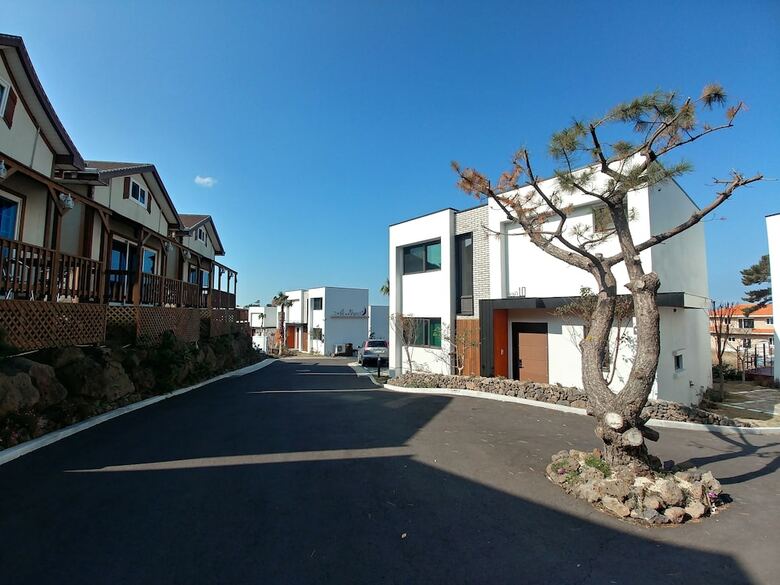 The Aewol House