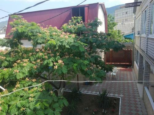 Hostal Guest House Afalina