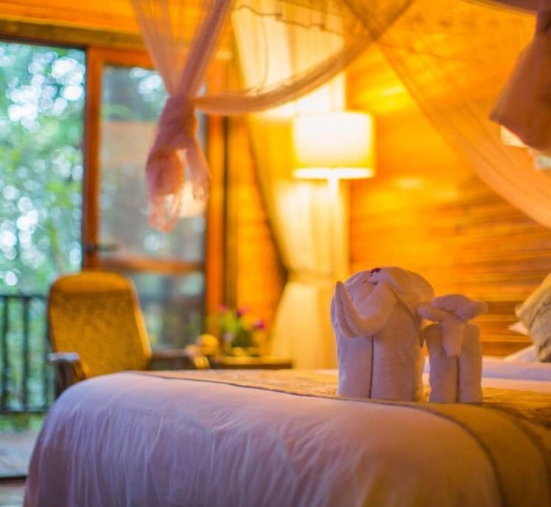 Hotel Puer Redpanda Manor