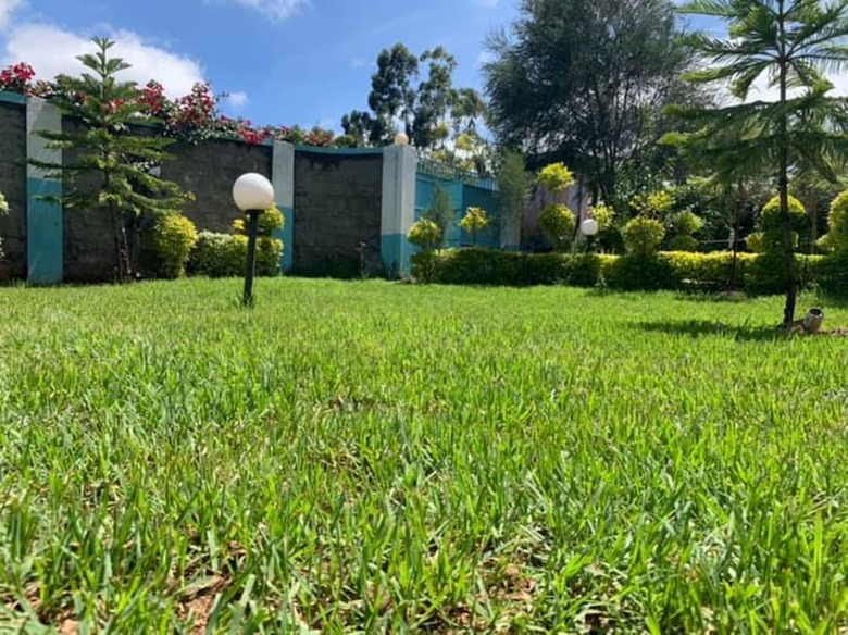 Bed & Breakfast Wasafi Garden & Spa Kibiko