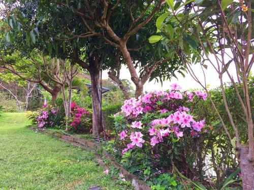 Bed & Breakfast Jiu An Qing Jing Homestay