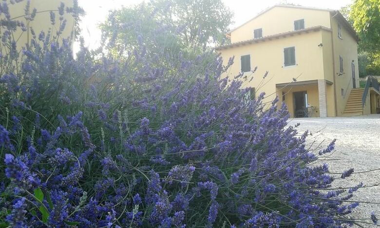 Agroturismo Agriturismo Il Truffarello