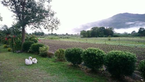 One Taitung