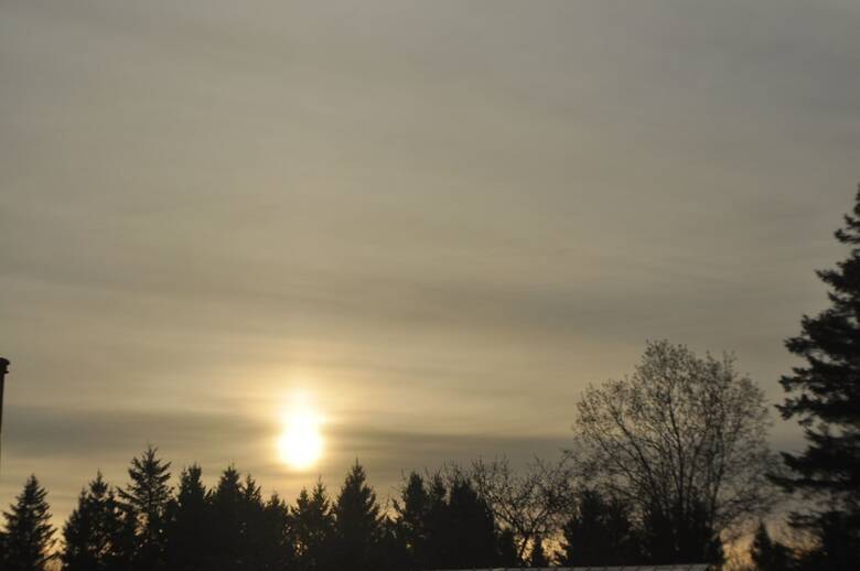 Bed & Breakfast Au Domaine de La Giroux-ette