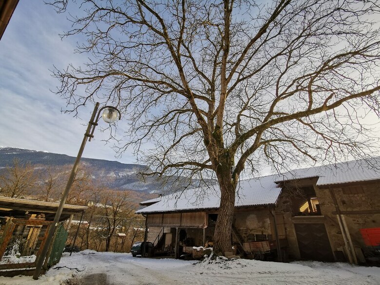 Casa Vacanze In Tipico Maso Della Val Di Non