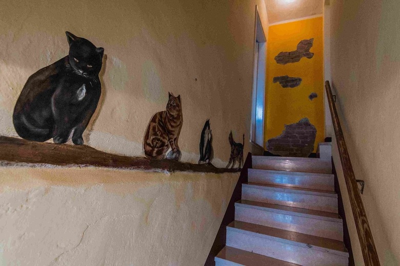 Bed & Breakfast I Quattro Gatti
