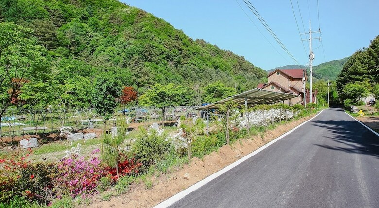 Yedam Healing House