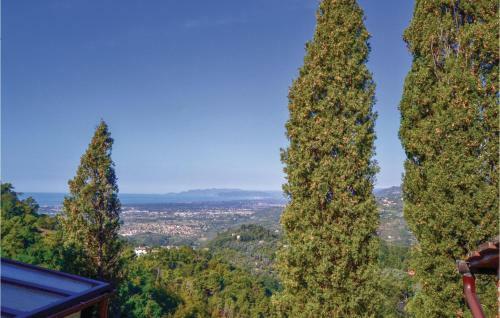 Apartamentos Pettirosso