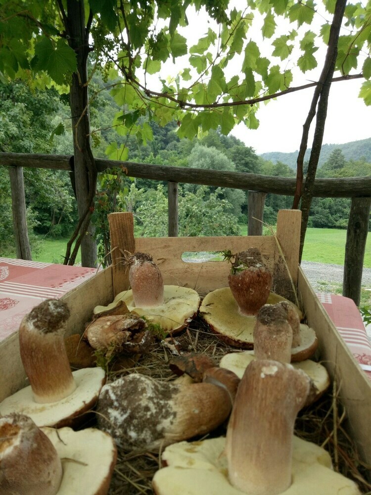 Agroturismo Agriturismo L'origano