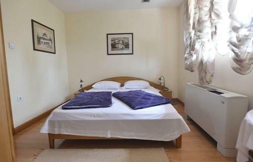 Motel Kneginja