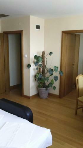 Motel Kneginja
