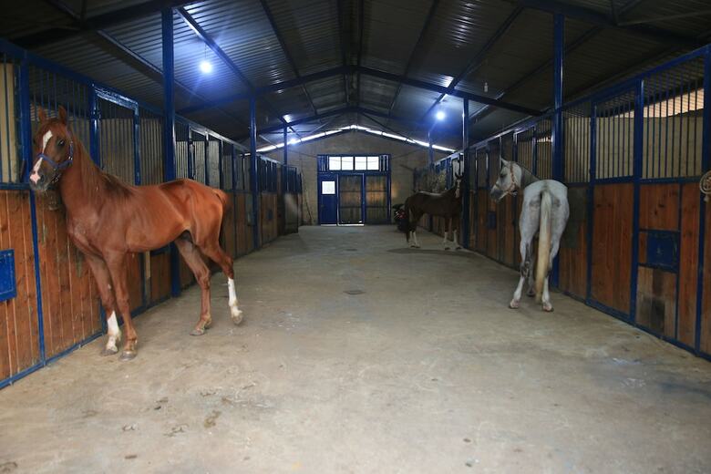 Posada The Ranch - Lodge & Equestrian Center