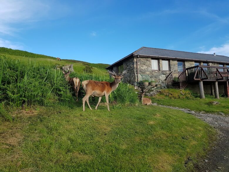 Hotel Doune-knoydart