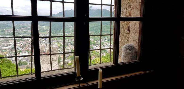 Hotel Castel Pergine