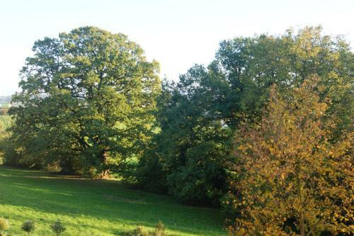 Hostal Chateau Neufays
