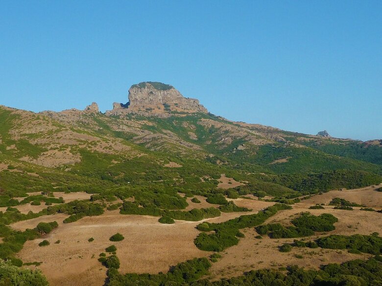 Agroturismo Agriturismo Sa Tanca