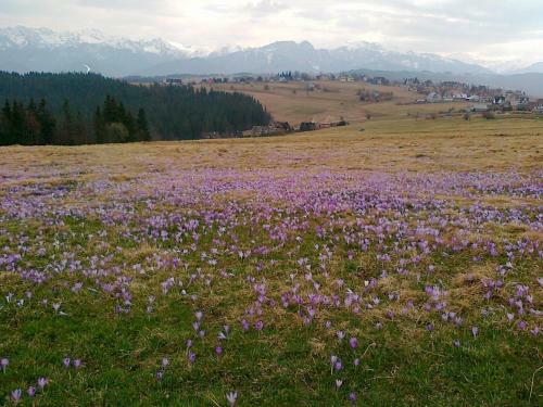 Hostal Pensjonat G�ralska Chata