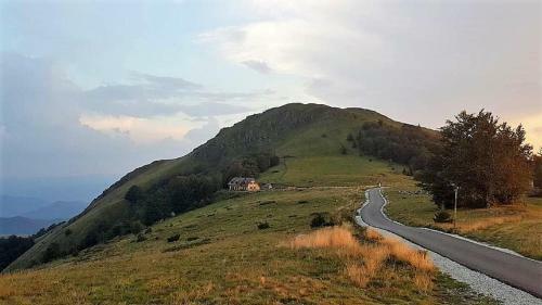 Vila Despotovic