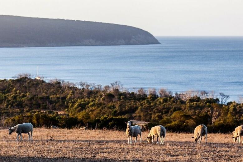 Antechamber Bay Retreats