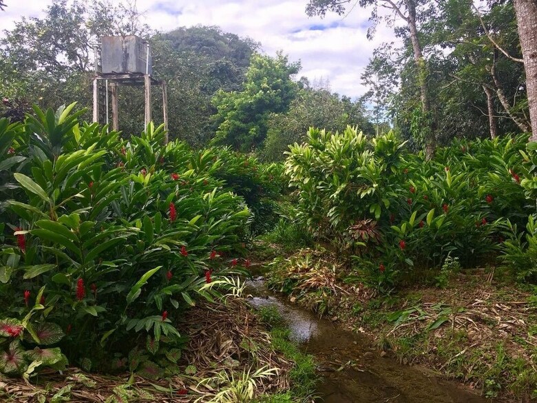 Valley Stream Farm