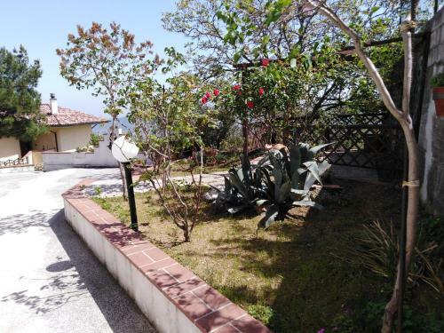 Bed & Breakfast Dolce Risveglio
