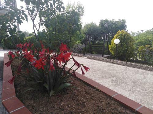 Bed & Breakfast Dolce Risveglio