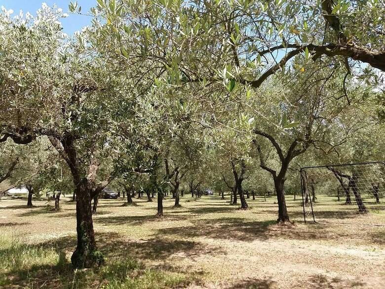 Agroturismo La Masseriola Agriturismo
