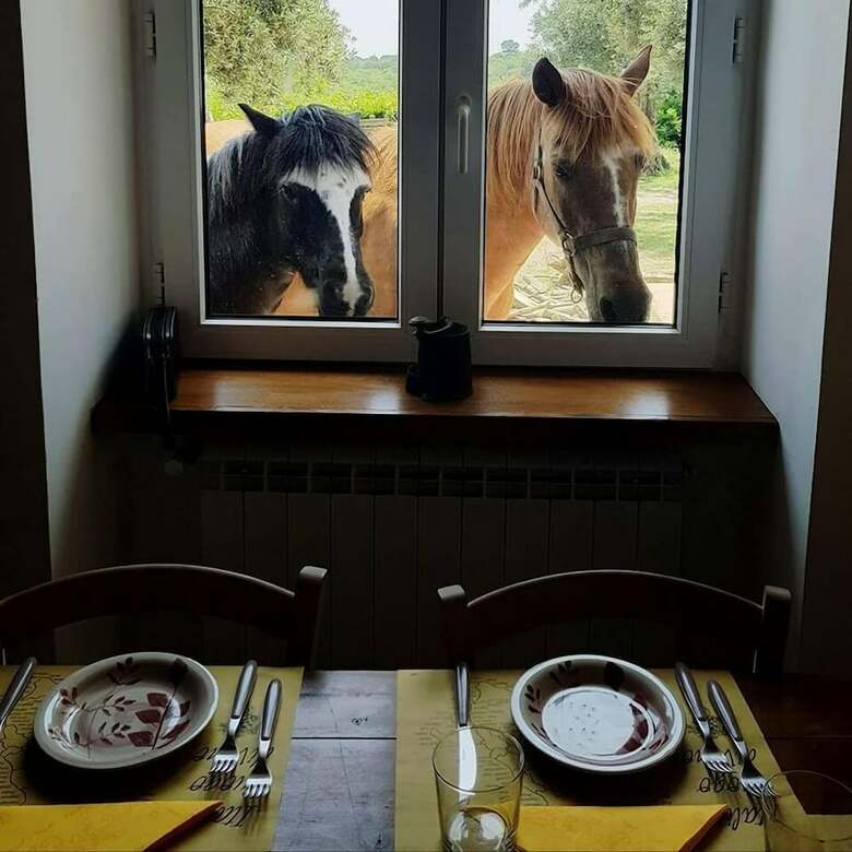 Agroturismo La Masseriola Agriturismo