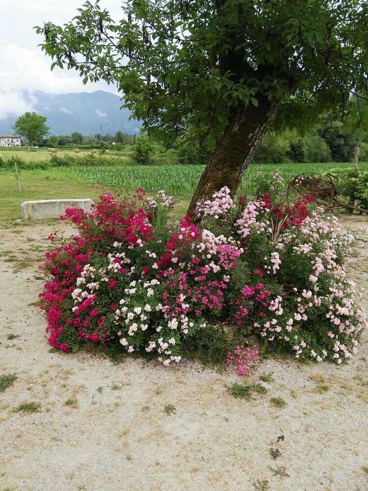 Agroturismo Agriturismo Campo Del Monaco