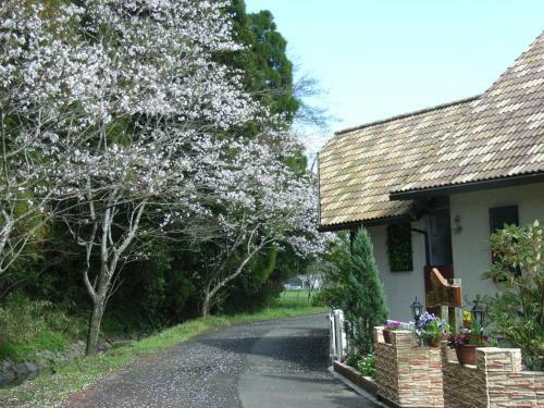 Hostal Minshuku Hoshi No Sumika