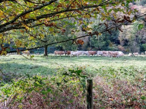 Bed & Breakfast Herberg Le Lognard