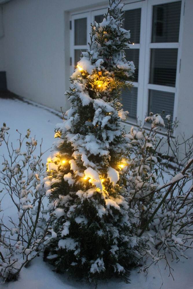 Hotel Spangsgaard Bed And Breakfast