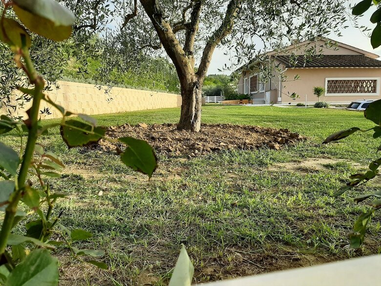 Bed & Breakfast Le Mammole