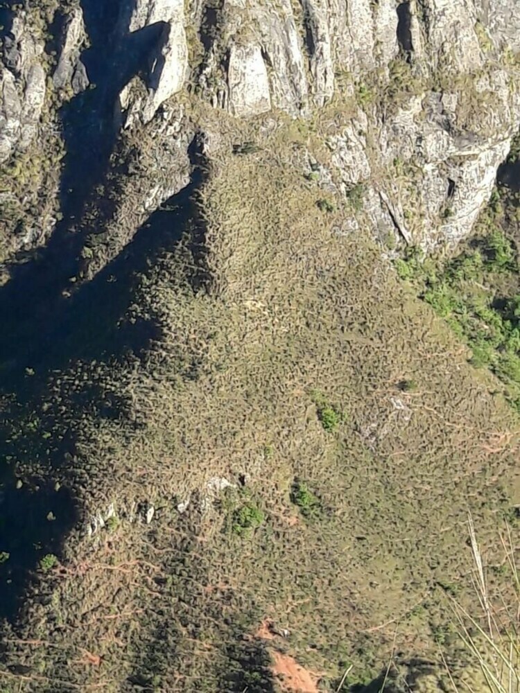 Posada Caba�as Sebastian