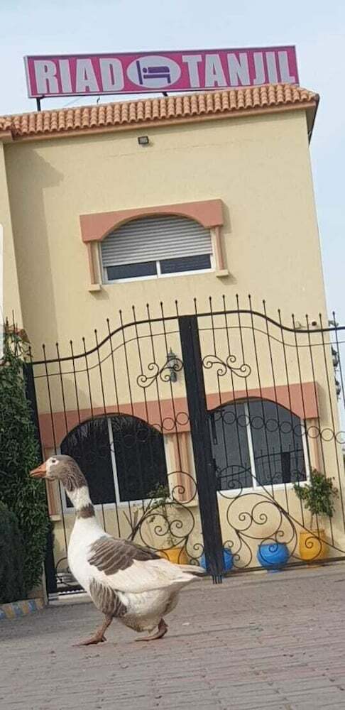 Hotel Riad Tanjil