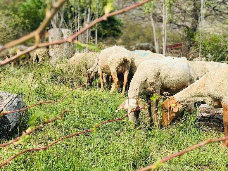 Les Gites De La Ferme