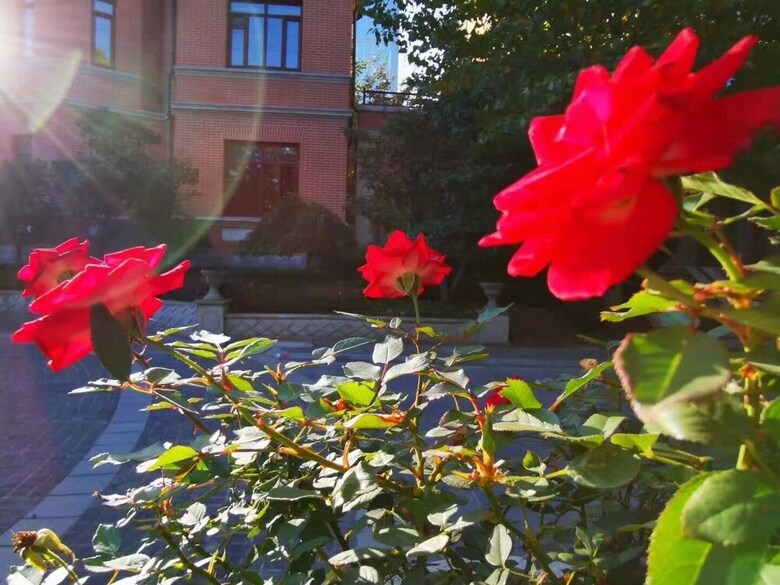 Railway 1896 Garden Hotel