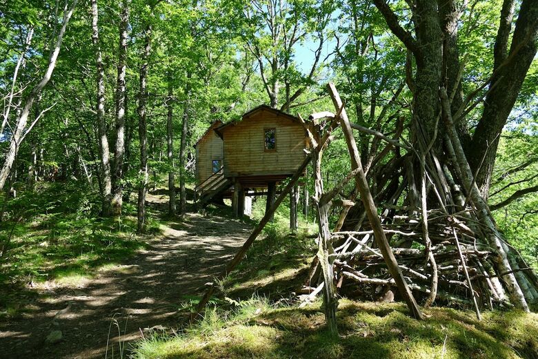 Cabana H�tre Sous Le Charme