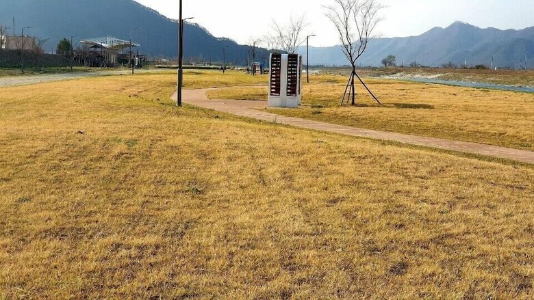 Andong Dasulki Camp