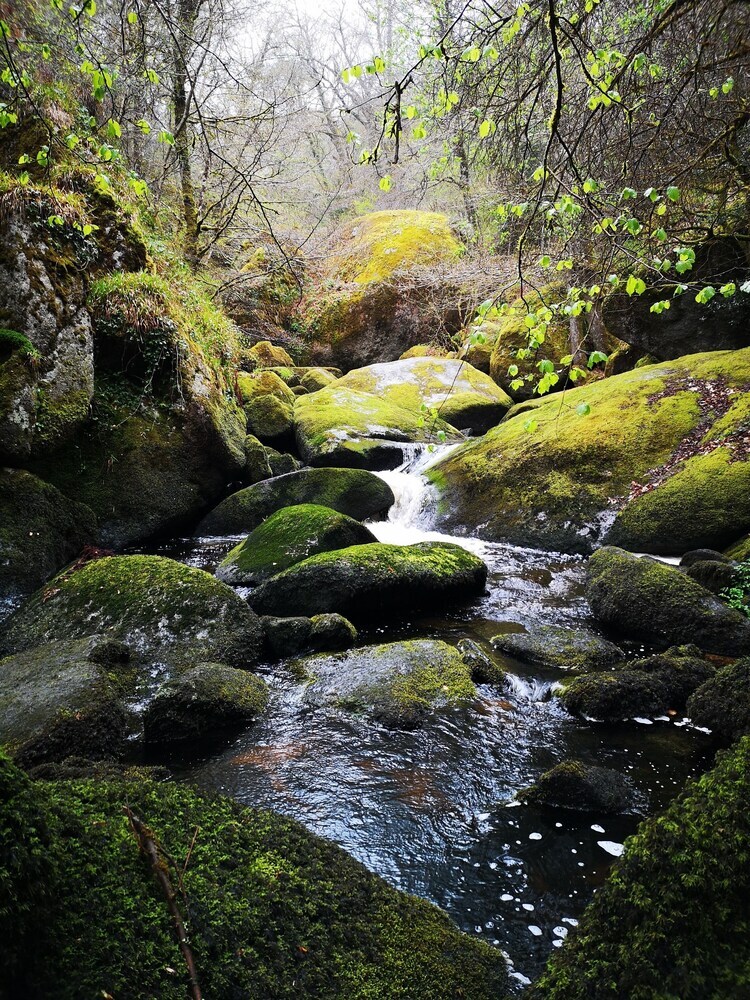 Gites Du Bulz